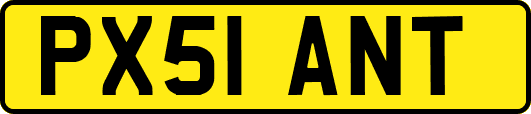 PX51ANT