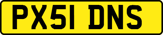 PX51DNS