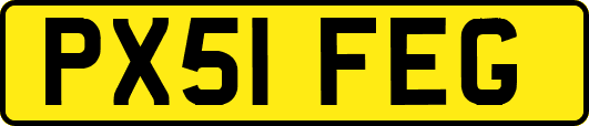 PX51FEG