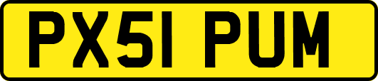 PX51PUM