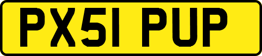 PX51PUP