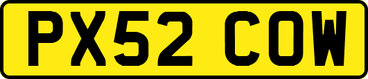 PX52COW