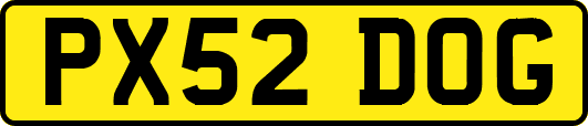 PX52DOG
