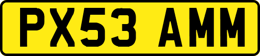 PX53AMM