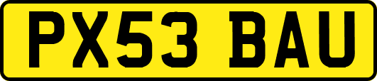 PX53BAU