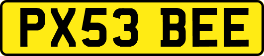 PX53BEE