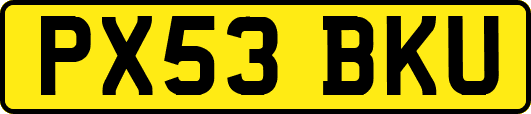 PX53BKU