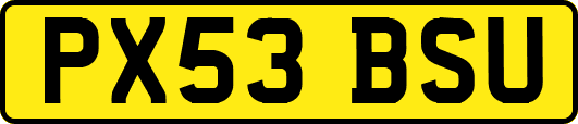 PX53BSU