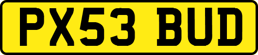 PX53BUD
