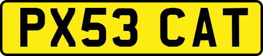 PX53CAT