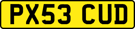 PX53CUD