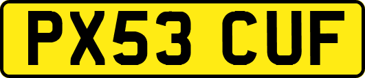 PX53CUF