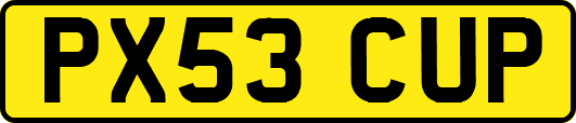 PX53CUP