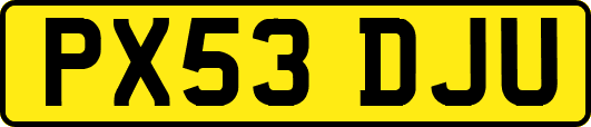 PX53DJU