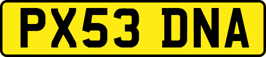 PX53DNA
