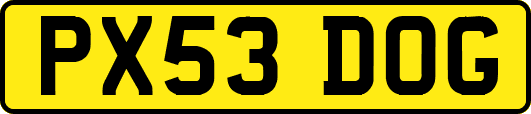 PX53DOG