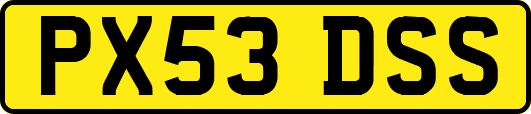 PX53DSS