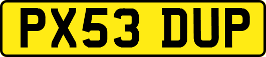 PX53DUP