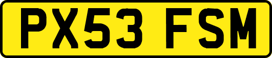 PX53FSM