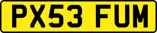 PX53FUM