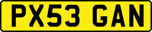 PX53GAN