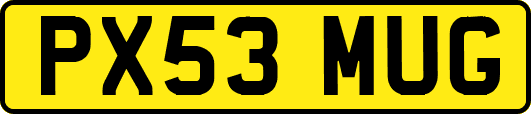 PX53MUG