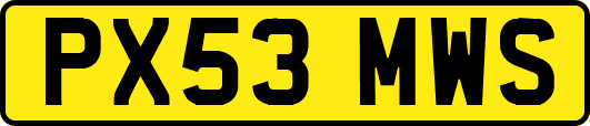 PX53MWS