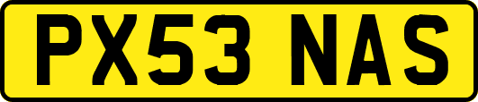 PX53NAS