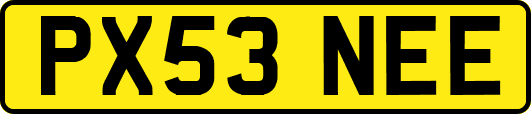 PX53NEE