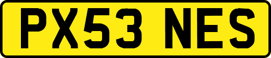 PX53NES