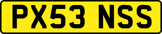 PX53NSS