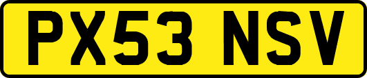 PX53NSV