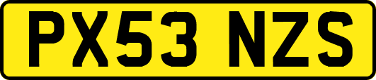 PX53NZS