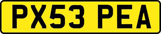 PX53PEA