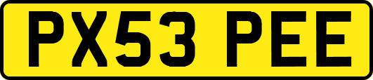 PX53PEE