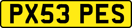 PX53PES