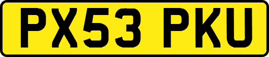 PX53PKU
