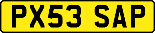 PX53SAP