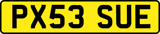 PX53SUE