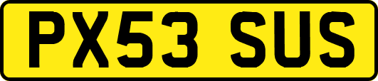 PX53SUS