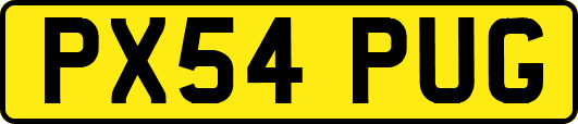 PX54PUG