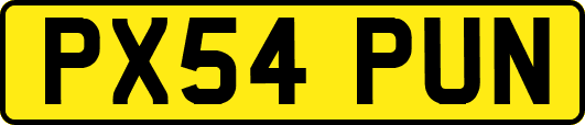 PX54PUN