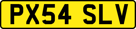 PX54SLV