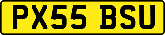 PX55BSU