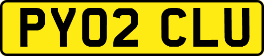 PY02CLU