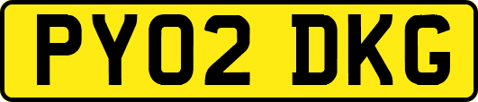 PY02DKG