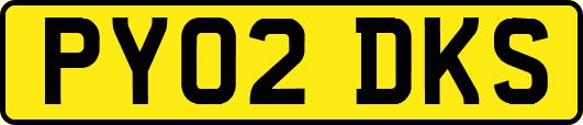 PY02DKS