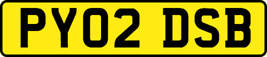 PY02DSB