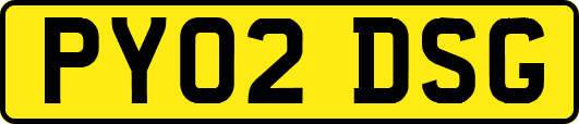PY02DSG
