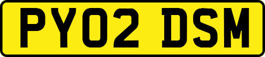 PY02DSM